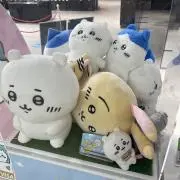 ちぃすけ