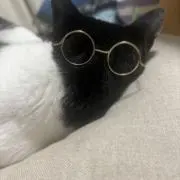 makaaaの画像