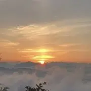 saikokoの画像