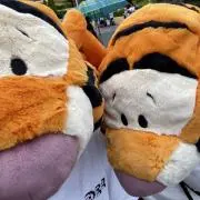 まるの画像