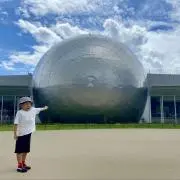 ふじの画像