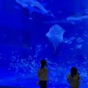 みいの画像