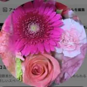 alluetsの画像