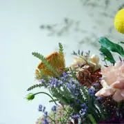 skendの画像