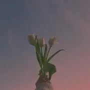 まーぽんの画像