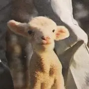 ななこの画像