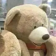 くま　お急ぎ対応　同梱割引　お気軽に♪の画像