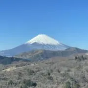 ロッキー