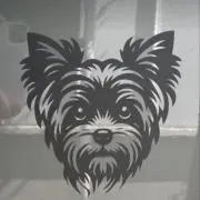 yorkieの画像
