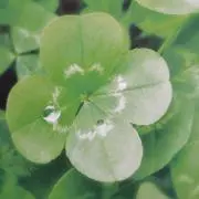 ☆ゆうママ☆  （プロフ必読）