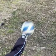 Sammy