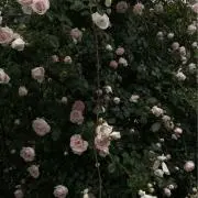 ♡