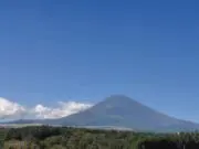 ViViの画像