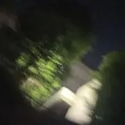 しんの画像