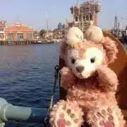 やまちゃんの画像