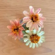 Zinnia★値下げ対応不可の画像
