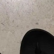 ふに