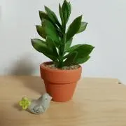 ち☆の画像