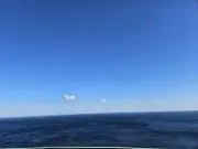 ツナまるの画像