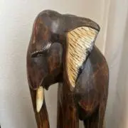 赤6の画像