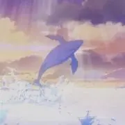 イサ  必ずプロフ確認してください！の画像
