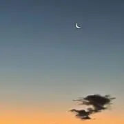 pinoの画像