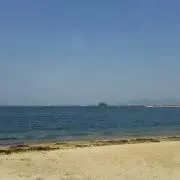 みじんこの画像