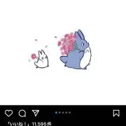 あいの画像