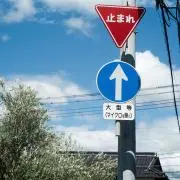 コハクバの画像