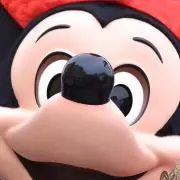おもちの画像