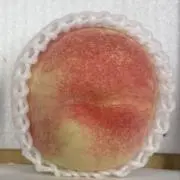 ももこの画像