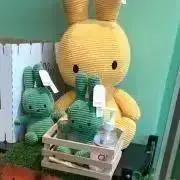 ゆきこの画像