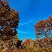 七瀬の画像