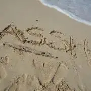 ASSH@cheap 必読♡プロフの画像