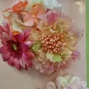 ニコ