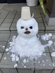 アンジェリの画像