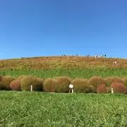 つーたん