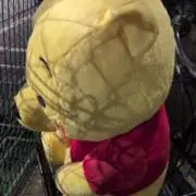 くろの画像