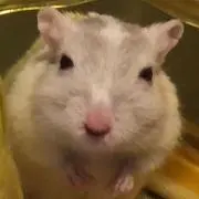 おっしろモード❤︎