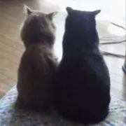 ヤマちゃんの画像