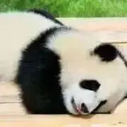 みの画像