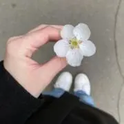 リホ★の画像
