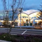 tonegawaの画像