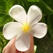 なの画像