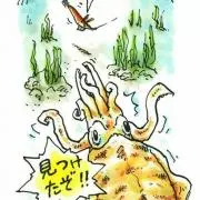 海笊
