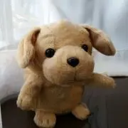 いなちゃんの画像