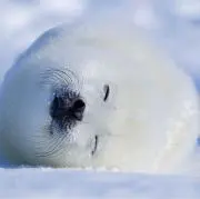 成田の画像
