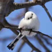 stayの画像