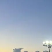 ぴのの画像