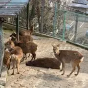 まさの画像